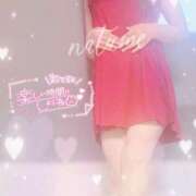 ヒメ日記 2025/03/23 11:34 投稿 なつめ 木更津人妻花壇