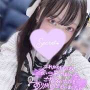 ヒメ日記 2025/04/04 14:20 投稿 哀川あの＠電撃復帰 スピードエコ天王寺店