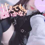 ヒメ日記 2025/04/10 15:20 投稿 哀川あの＠電撃復帰 スピードエコ天王寺店