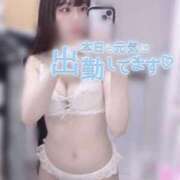 ヒメ日記 2025/04/12 16:50 投稿 哀川あの＠電撃復帰 スピードエコ天王寺店