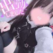 ヒメ日記 2025/04/13 16:50 投稿 哀川あの＠電撃復帰 スピードエコ天王寺店