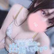 ヒメ日記 2025/05/04 16:50 投稿 哀川あの＠電撃復帰 スピードエコ天王寺店