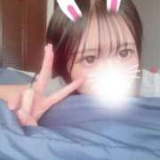 ヒメ日記 2025/09/12 10:42 投稿 ここな※キスだけで感じちゃう！ 即イキ淫乱倶楽部 船橋店