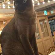 ヒメ日記 2025/12/24 16:24 投稿 あんず リアル 日本橋店