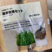 ヒメ日記 2026/06/23 18:51 投稿 ゆめか 奥様特急長岡店