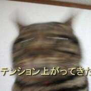 ヒメ日記 2026/07/06 23:29 投稿 みるきぃ Gossip girl成田店