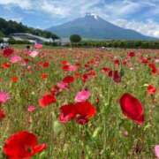 ヒメ日記 2024/07/19 11:57 投稿 あゆ 立川洗体風俗エステ ココリラ