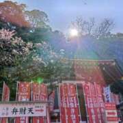 ヒメ日記 2025/03/21 08:53 投稿 桐島 環 こあくまな熟女たち 本厚木店(KOAKUMAグループ)