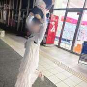 ヒメ日記 2025/07/10 02:23 投稿 いのり とろける時間～脳バク♡エステ～