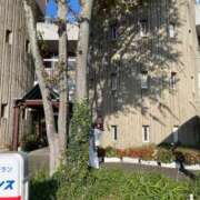 ヒメ日記 2025/11/14 17:43 投稿 いのり とろける時間～脳バク♡エステ～