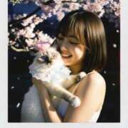 ヒメ日記 2026/04/06 21:30 投稿 あゆ 京都性感NEWエステ