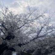 ヒメ日記 2025/04/12 13:54 投稿 あやの 萌えカワ