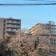 ヒメ日記 2025/04/16 12:11 投稿 あやの 萌えカワ