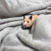 ヒメ日記 2025/06/18 12:04 投稿 あやの 萌えカワ