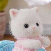 ヒメ日記 2025/06/29 00:32 投稿 あやの 萌えカワ