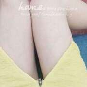 ヒメ日記 2025/08/14 10:00 投稿 森川 ゆずき HANA-okinawa-