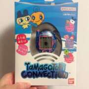 ヒメ日記 2025/04/06 13:05 投稿 りりこ 柏人妻花壇