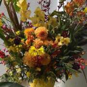 ヒメ日記 2025/04/08 21:41 投稿 りりこ 柏人妻花壇