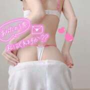 ヒメ日記 2025/07/12 00:20 投稿 りりこ 柏人妻花壇