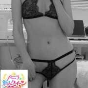 ヒメ日記 2025/07/29 08:53 投稿 りりこ 柏人妻花壇