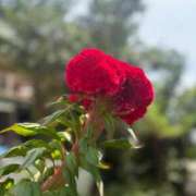 ヒメ日記 2025/08/22 12:10 投稿 りりこ 柏人妻花壇