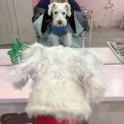 ヒメ日記 2025/10/20 13:27 投稿 りりこ 柏人妻花壇