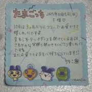 ヒメ日記 2025/11/25 11:54 投稿 りりこ 柏人妻花壇