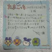 ヒメ日記 2025/11/29 22:15 投稿 りりこ 柏人妻花壇