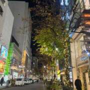 ヒメ日記 2025/12/15 12:57 投稿 りりこ 柏人妻花壇