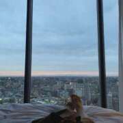 りりこ 本指名Hさん♡ 柏人妻花壇