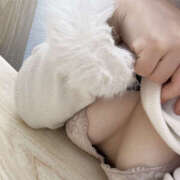 ヒメ日記 2025/03/19 15:57 投稿 うたは 神田ハンドメイド