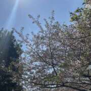 ヒメ日記 2025/04/18 13:00 投稿 うたは 神田ハンドメイド