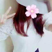 さくら【スタンダード】 おはようございます🌸 博多の熟女