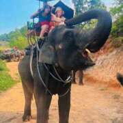 ヒメ日記 2026/04/23 13:28 投稿 「ミサキ」転生しました。 GOOD-グッド-