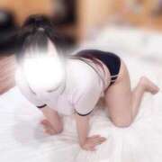 ヒメ日記 2025/12/28 12:52 投稿 れんか 白いぽっちゃりさん