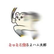 奈々(なな) 本日出勤💨次回11時50分〜🈳🫧 女々艶 厚木店