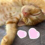 ヒメ日記 2025/07/08 13:59 投稿 浜崎 れいか 京都ホットポイント