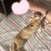 ヒメ日記 2025/08/04 09:37 投稿 浜崎 れいか 京都ホットポイント