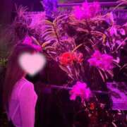 ヒメ日記 2025/08/22 15:49 投稿 ねね 京都ホテヘル倶楽部