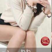 ヒメ日記 2026/04/07 18:04 投稿 ねね 京都ホテヘル倶楽部