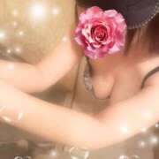 ヒメ日記 2025/04/05 15:04 投稿 鈴代 はな Mの世界