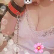 ヒメ日記 2025/04/22 10:19 投稿 鈴代 はな Mの世界