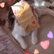 ヒメ日記 2025/06/13 19:48 投稿 鈴代 はな Mの世界