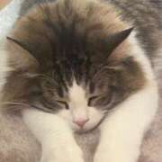 ヒメ日記 2025/06/20 13:33 投稿 鈴代 はな Mの世界