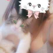 ヒメ日記 2025/07/23 09:27 投稿 鈴代 はな Mの世界