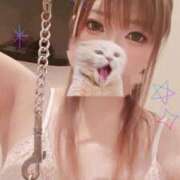 ヒメ日記 2025/08/04 10:51 投稿 鈴代 はな Mの世界