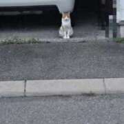 ヒメ日記 2025/08/29 15:24 投稿 鈴代 はな Mの世界