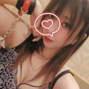 ヒメ日記 2025/09/01 19:54 投稿 鈴代 はな Mの世界