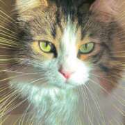 ヒメ日記 2025/11/25 20:34 投稿 鈴代 はな Mの世界