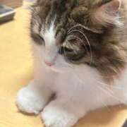 ヒメ日記 2025/11/28 17:34 投稿 鈴代 はな Mの世界